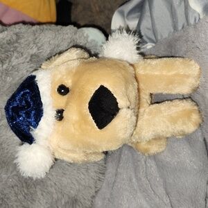 Stuffed puppy plushy with blue scarf and night cap